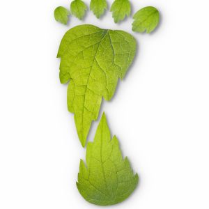 Smart food choices to reduce your carbon footprint
