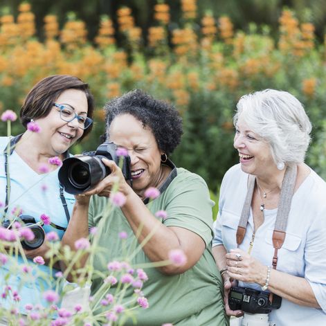 Spring into Wellness: Top Activities for Seniors in Southeast Queensland