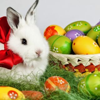Easter in just around the corner!